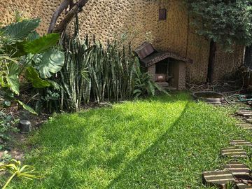 Casa sola en Colonia Rosedal. Coyoacán