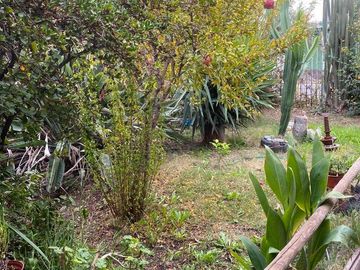 Casa en venta  en SAN RAMÓN