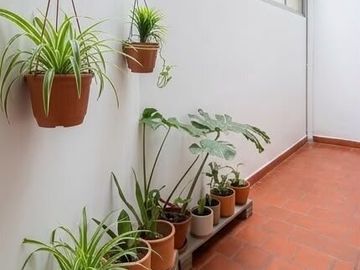 Constitucion Venta Departamento 2 ambientes Patio