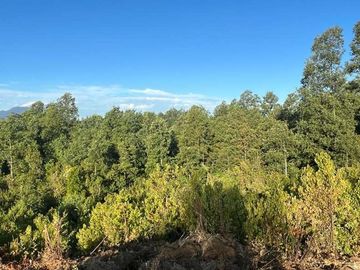 Venta de Parcela en Pucón Vista al lago.