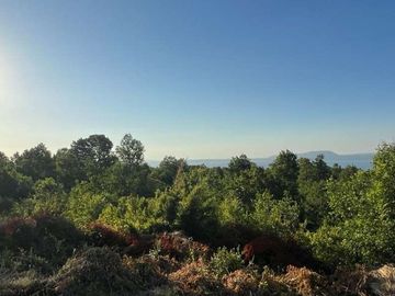 Venta de Parcela en Pucón Vista al lago.