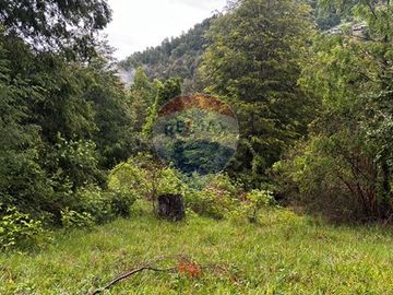HUERQUEHUE UNA HECTAREA EN VENTA, OPORTUNIDAD!!