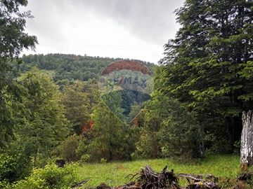 HUERQUEHUE UNA HECTAREA EN VENTA, OPORTUNIDAD!!