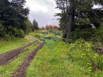 HUERQUEHUE UNA HECTAREA EN VENTA, OPORTUNIDAD!!