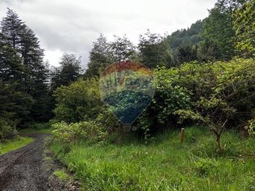 HUERQUEHUE UNA HECTAREA EN VENTA, OPORTUNIDAD!!