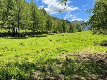 Terreno en venta Curarrehue
