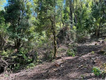 Terreno en venta Curarrehue