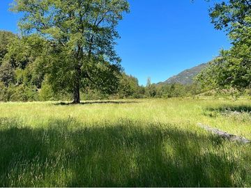 Terreno en venta Curarrehue