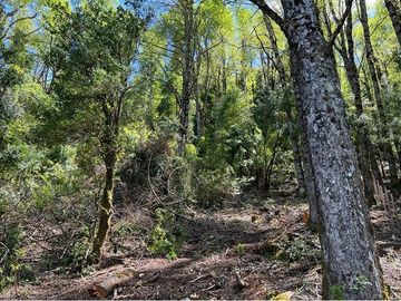 Terreno en venta Curarrehue