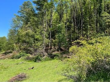 Terreno en venta Curarrehue
