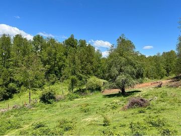 Terreno en venta Curarrehue