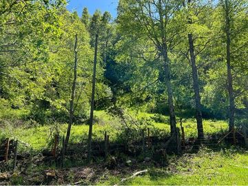 Terreno en venta Curarrehue