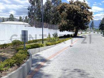 CASA 3 DORMITORIOS POR ESTRENAR EN TUMBACO 286 M²