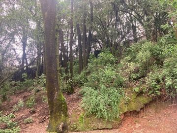 Terreno en Venta en Oyamel Cuajimalpa