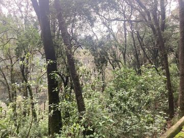 Terreno en Venta en Oyamel Cuajimalpa