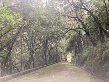 Terreno en Venta en Oyamel Cuajimalpa