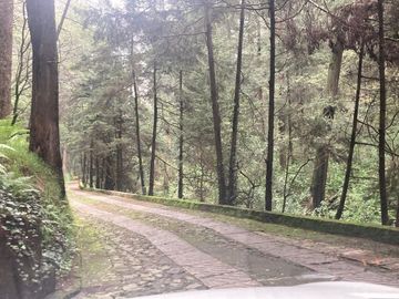 Terreno en Venta en Oyamel Cuajimalpa