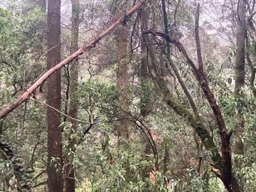 Terreno en Venta en Oyamel Cuajimalpa