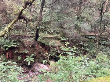 Terreno en Venta en Oyamel Cuajimalpa