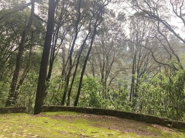 Terreno en Venta en Oyamel Cuajimalpa