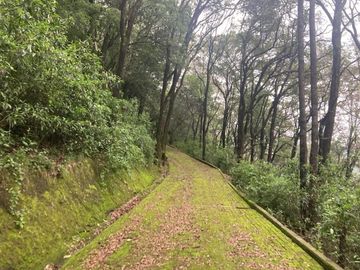 Terreno en Venta en Oyamel Cuajimalpa
