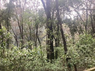 Terreno en Venta en Oyamel Cuajimalpa
