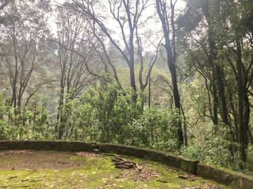 Terreno en Venta en Oyamel Cuajimalpa