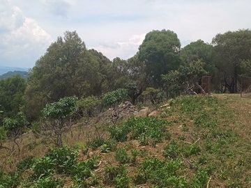 Tenancinco terreno en venta por la Malinche