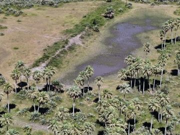 Campo en venta 6600 has en Santa Fe