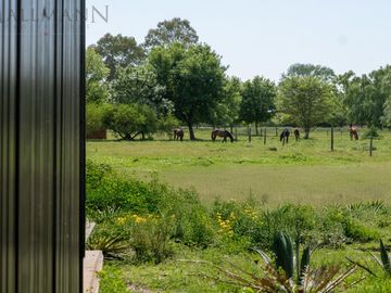 Venta Parcelas 4,96 Hectáreas Zona Polo Centauros, Pilar