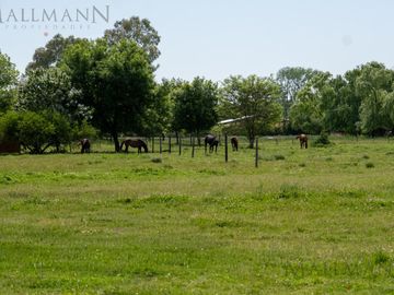 Venta Parcelas 4,96 Hectáreas Zona Polo Centauros, Pilar