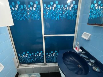 Departamento - Flores