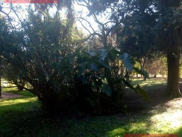 Quinta de 3 ambientes en venta en Los Pozos - Cañuelas