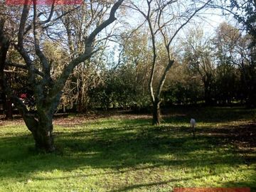 Quinta de 3 ambientes en venta en Los Pozos - Cañuelas