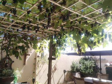 VENTA DE CASA (opción AMUEBLADA) | LA CUSPIDE  PLAYAS DE TIJUANA 🏡