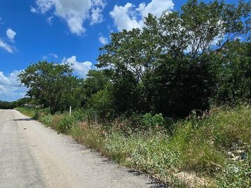 TERRENO PARA DESARROLLO HABITACIONAL A 200 METROS CARRETERA CHICXULUB PUERTO