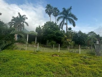 Rancho con casa de Campo y cultivo