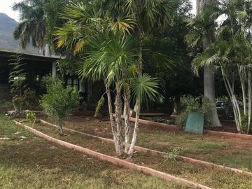 Rancho con casa de Campo y cultivo