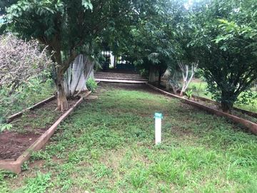 Rancho con casa de Campo y cultivo