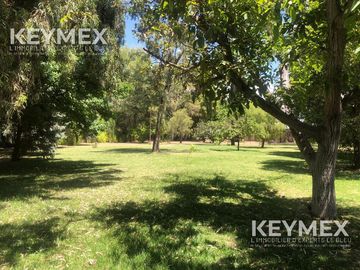 Venta Casa San Rafael, Mendoza. Inversión para desarrollo y/o emprendimiento Gastronómico/Hotelero.