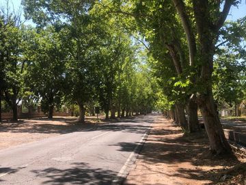 Venta Casa San Rafael, Mendoza. Inversión para desarrollo y/o emprendimiento Gastronómico/Hotelero.