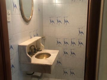 Venta Casa San Rafael, Mendoza. Inversión para desarrollo y/o emprendimiento Gastronómico/Hotelero.
