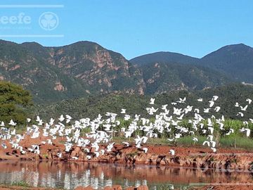 Campo mas Reserva Privada  en venta de 6300 has  en Gral Guemes ,Salta(Facilidades y Permutas)