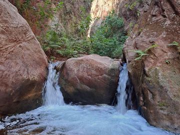 Campo mas Reserva Privada  en venta de 6300 has  en Gral Guemes ,Salta(Facilidades y Permutas)