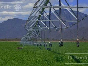 Campo mas Reserva Privada  en venta de 6300 has  en Gral Guemes ,Salta(Facilidades y Permutas)