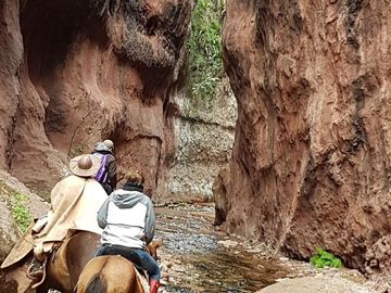 Campo mas Reserva Privada  en venta de 6300 has  en Gral Guemes ,Salta(Facilidades y Permutas)