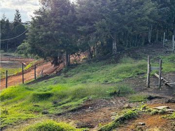 Lote en Santa Elena piedras blancas con licencia de cons