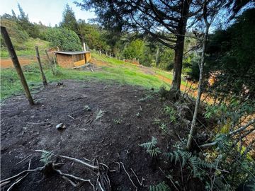 Lote en Santa Elena piedras blancas con licencia de cons