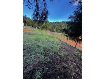 Lote en Santa Elena piedras blancas con licencia de cons