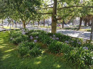 Gran oficina en alquiler en Recoleta